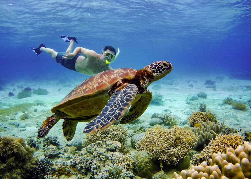 Cebu: Moalboal Sardines & Turtle Snorkeling and Canyoneering - Moalboal morning rhythm: breakfast, then Panagsama Beach