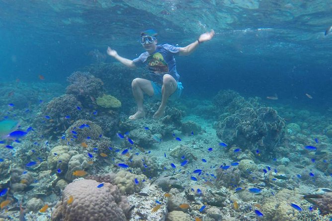 Cebu: Moalboal Sardines, Turtle Snorkeling & Kawasan Canyoneering - One Day, Two Worlds: Marine Magic and Kawasan Adrenaline