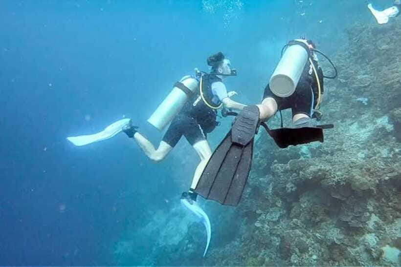 Cebu: Moalboal Scuba Diving, Sardines Run & Pescador Snorkel - Should you book this Moalboal and Pescador sea day?