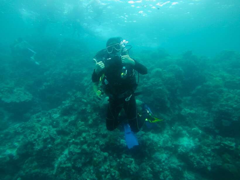 Cebu: Moalboal Scuba Diving with Sardines and Turtle Snorkel - Price and value: what $115 really buys in one long day