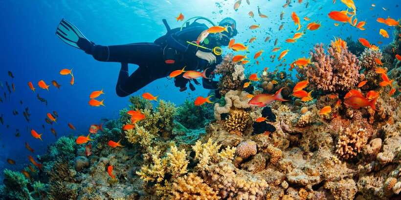 Cebu: Moalboal Scuba Diving with Sardines and Turtle Snorkel - What to pack and how to make the camera footage easier