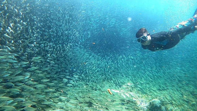 Cebu: Moalboal Snorkeling, Mantayupan Falls & ATV Adventure - The Optional Beach Reset Between Sea and Falls
