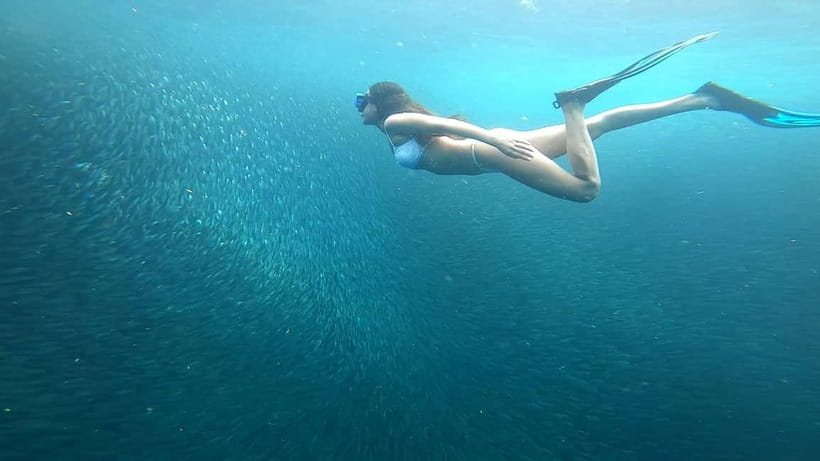 Cebu: Moalboal Snorkeling, Mantayupan Falls & ATV Adventure - Carcar Lunch: How Included Food Fits the Long Day