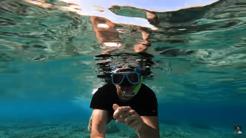 Cebu: Oslob Whale Shark and Moalboal Snorkeling Tour - Should You Book This Cebu Whale Shark and Moalboal Tour?
