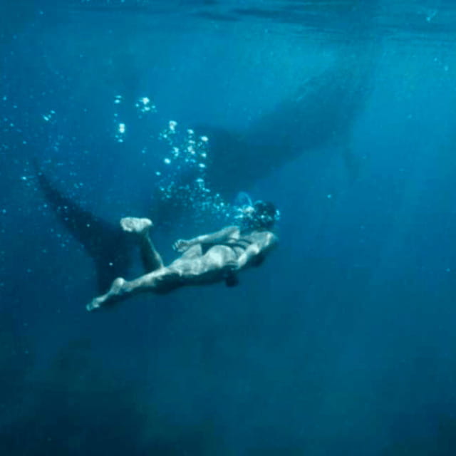 Cebu: Oslob Whale Shark, Sumilon, Ruins, Simala Church - Sumilon Island Sandbar: the beach reset you will feel