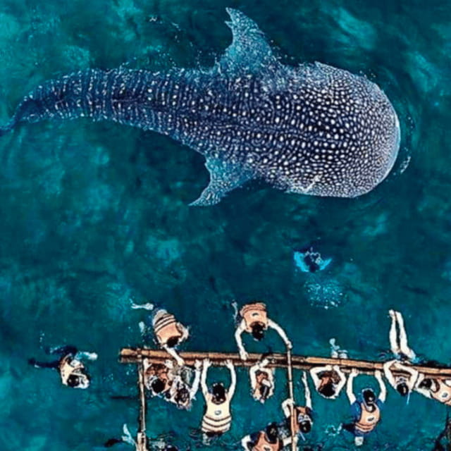 Cebu: Oslob Whale Shark, Sumilon, Ruins, Simala Church - Monastery of the Holy Eucharist: a needed break in the middle of the day