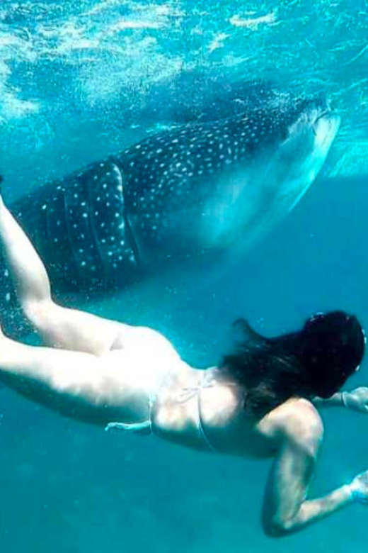 Cebu: Oslob Whale Shark, Sumilon, Ruins, Simala Church - What to bring for Oslob, Sumilon, and Simala