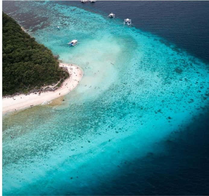 Cebu: Oslob Whale Shark Swim and Sumilon Island Day Tour - Oslob Whale Shark Swim: What It Feels Like and How to Do It Well