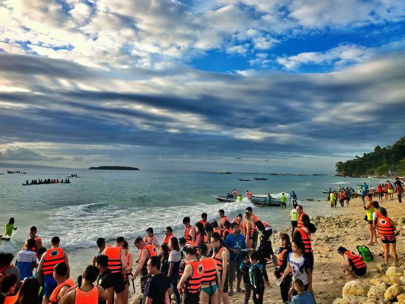 Cebu: Oslob Whale Shark Swimming - Key Highlights You Should Know Before You Go