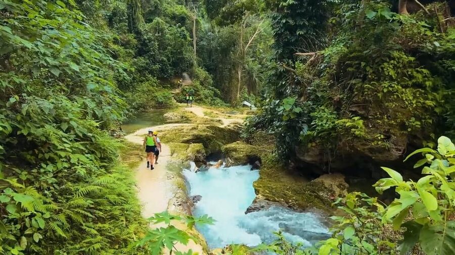 Cebu Oslob Whale Shark Swimming & Kawasan Falls Canyoneering - The guides and service details that matter