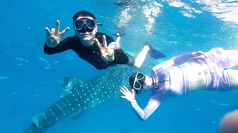 Cebu Oslob: Whale Shark Watching Experience - Pickup options, car comfort, and how to prep your bag