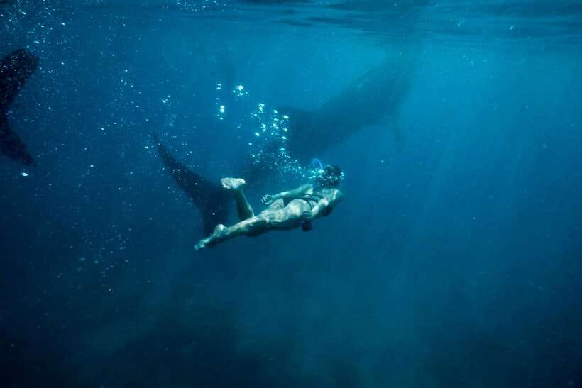 Cebu: Oslob Whale Sharks, Tumalog Falls & Sardine Snorkeling - Tumalog Falls: the break from noise and boats