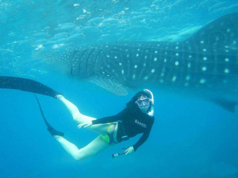 Cebu: Oslob Whale Sharks, Tumalog Falls & Sardine Snorkeling - Getting to Oslob whale sharks, breakfast first, then the wait