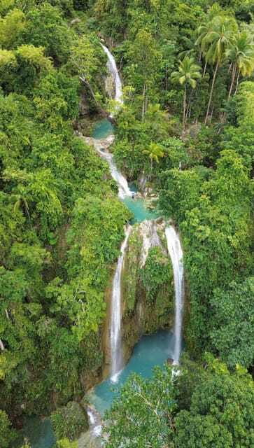 Cebu Oslob Whaleshark, Moalboal Sardines Run&Inambakan Falls - Moalboal Sardine Run snorkeling: the fish show you came for