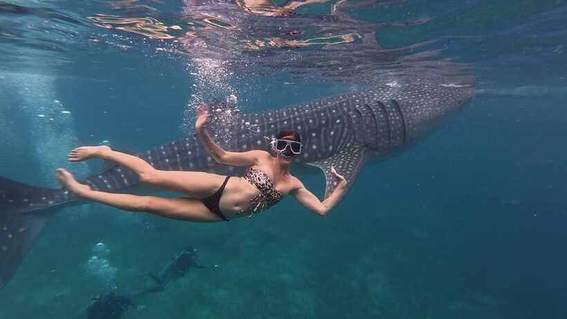 Cebu Oslob Whaleshark, Moalboal Sardines Run&Inambakan Falls - Price and value: what $108 gets you, and what to budget