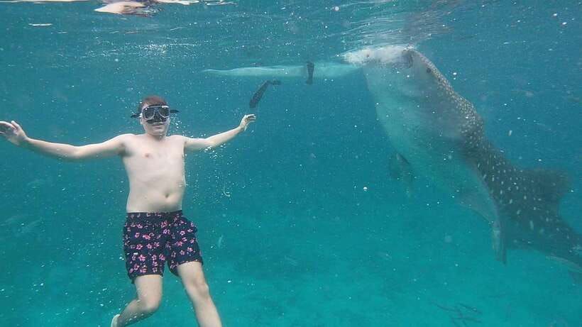 Cebu: Oslob Whaleshark & Sardines Run Snorkeling Day Tour - Price and Value: Does $108 Make Sense Here?