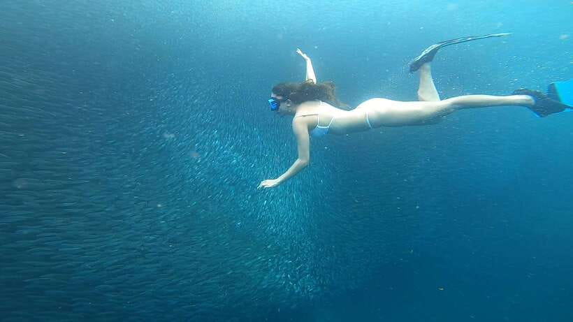 Cebu: Oslob Whaleshark & Sardines Run Snorkeling Day Tour - Who Should Book This Tour, and Who Might Skip It