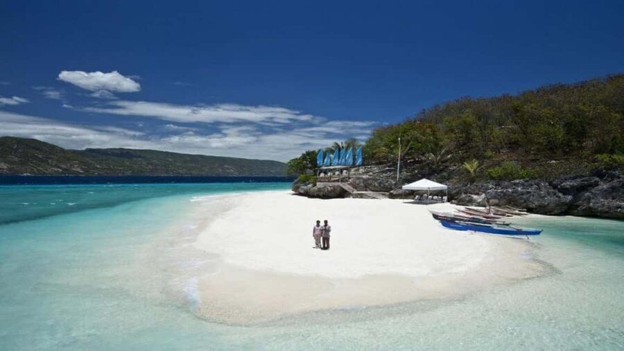 Cebu Oslob Whaleshark, Tumalog Falls&Sumilon Island(Private) - The Oslob whale shark swim: briefing, gear, and the real deal