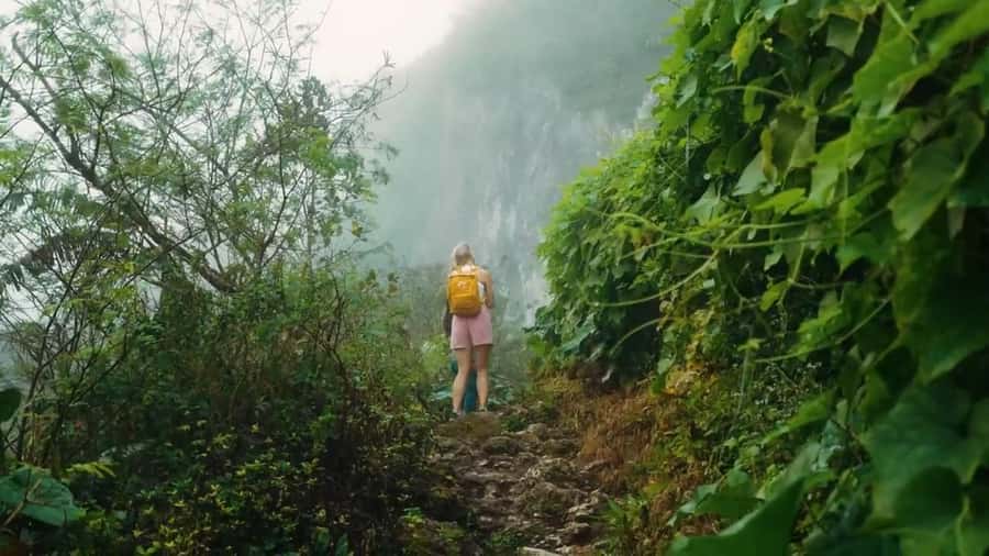Cebu: Osmeña Peak and Kawasan Canyoneering Day Tour - The main falls swim: why the timing ends with that dip