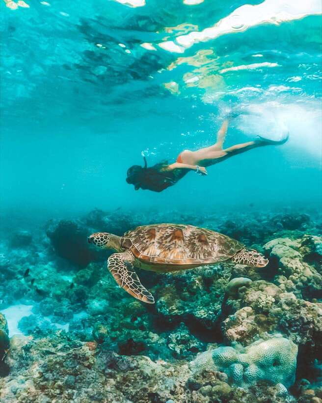 Cebu: Osmeña Peak hike and Sardines Run Snorkel adventure - Why this combo works in Cebu