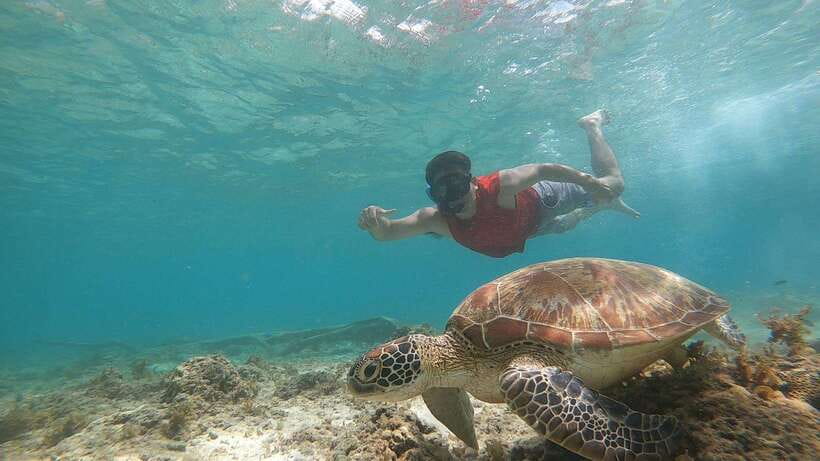 Cebu: Osmeña Peak hike and Sardines Run Snorkel adventure - What you should bring to avoid small day-killers