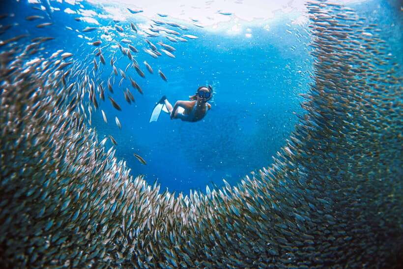 Cebu: Pescador Island, Sardines run and Kawasan Canyoneering - Time on the Water: The Real Rhythm of Island Hopping