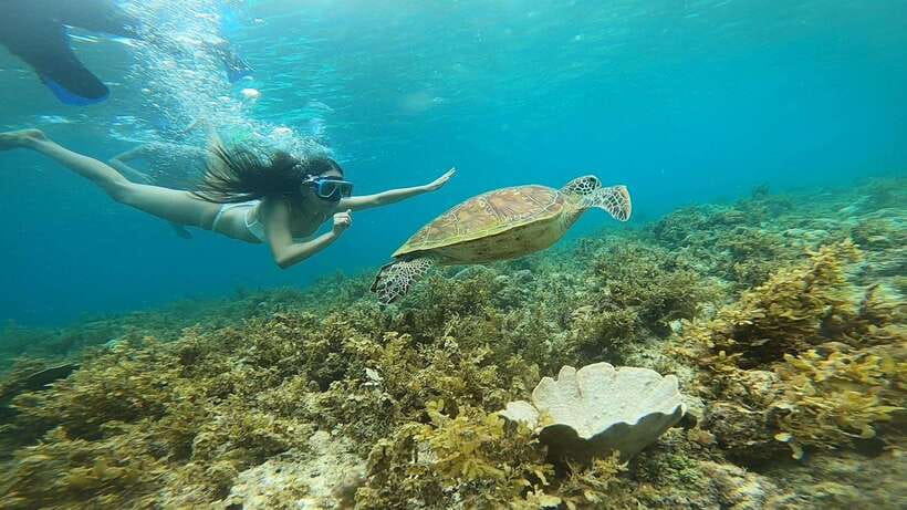 Cebu: Pescador Island, Sardines run and Kawasan Canyoneering - Kawasan Canyoneering in Badian: Jumps, Slides, and Jungle Views