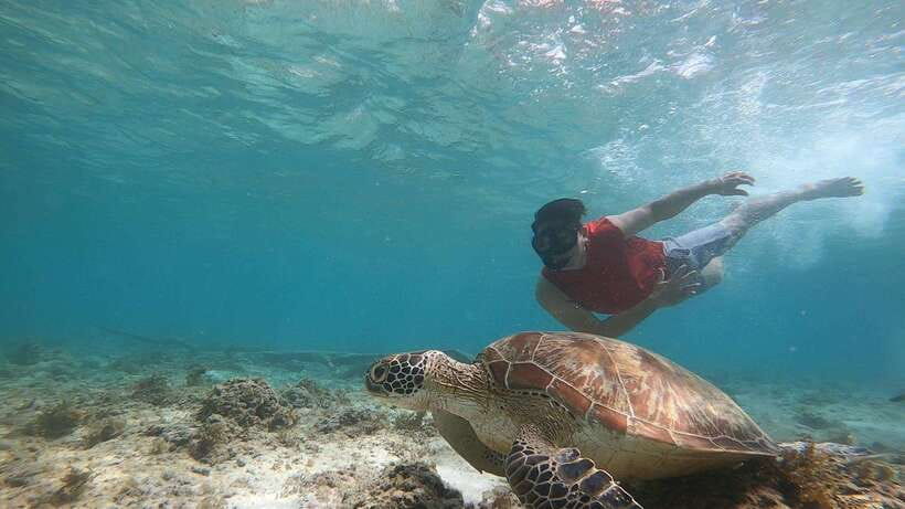 Cebu: Pescador Island, Sardines run and Kawasan Canyoneering - Price and Value: How $168 Becomes a Deal