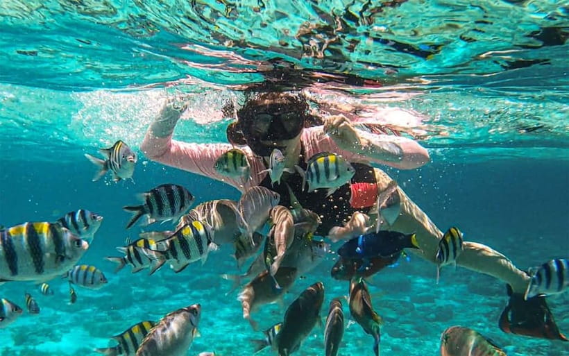 Cebu: Private Mactan Island Hopping Tour with Lunch - Private Mactan island hopping, what makes it feel special
