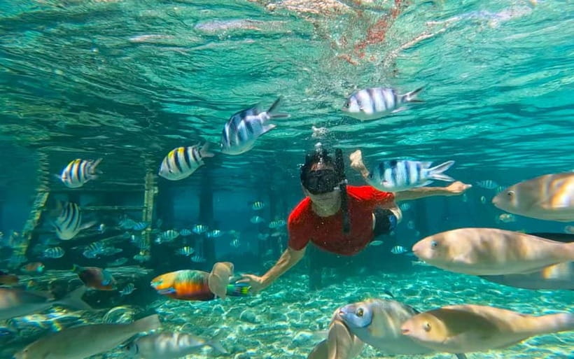 Cebu: Private Mactan Island Hopping Tour with Lunch - Gilutungan Island: snorkeling the coral gardens in protected water