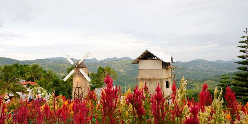 Cebu: Private Panoramic Tour with Dinner - Your guide matters: why Anabella’s approach stands out