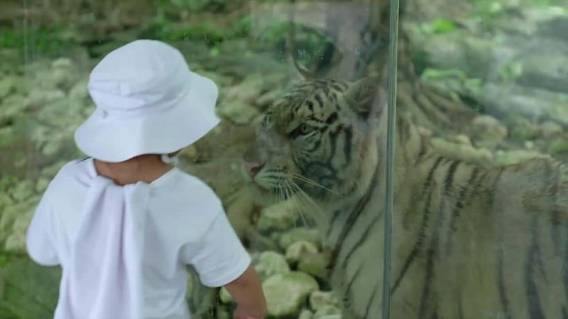 Cebu Safari & Adventure Park: Wildlife Tour with Transfers - Price and Value at About $103 Per Person