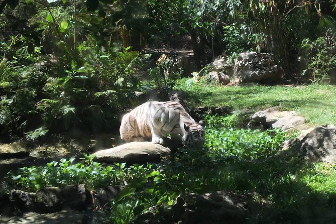 Cebu Safari and Adventure Park - Key takeaways before you go