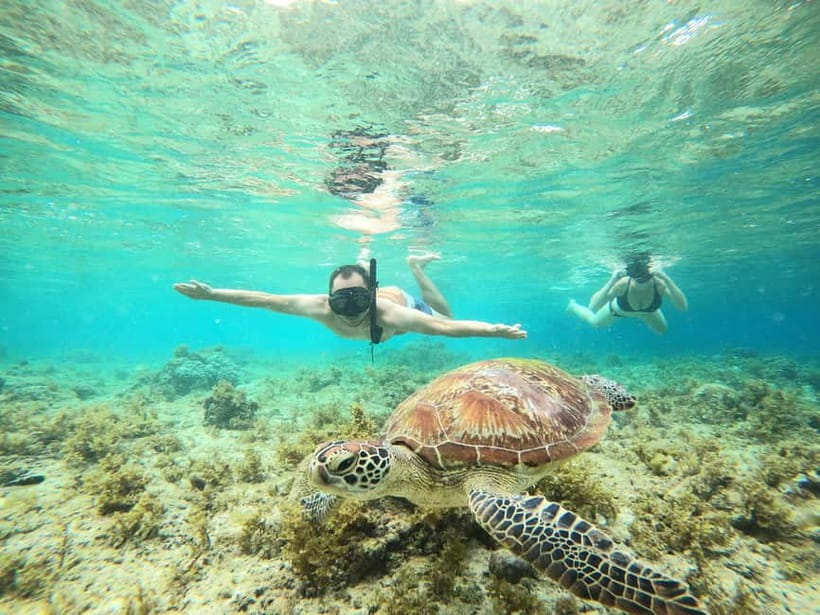 Cebu: Sardine Run Snorkeling, Mantayupan Falls & ATV Thrills - How the Sardines Run Stop Works in Real Life
