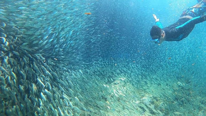 Cebu: Sardine Run Snorkeling, Mantayupan Falls & ATV Thrills - Guides and Flexibility: Why Jerome, Raul, and Jave Get Mentioned
