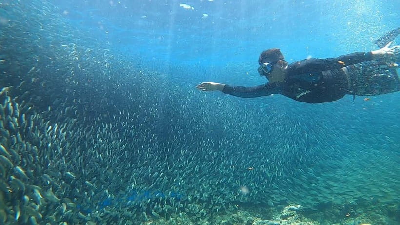 Cebu: Sardine Run Snorkeling, Mantayupan Falls & ATV Thrills - Timing, Pickup Zones, and Small Cost Traps