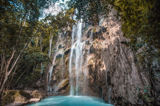 Cebu Whale Shark Encounter, Moalboal Sardines & Tumalog Falls - Oslob Whale Sharks: Amazing to See, Crowded by Design