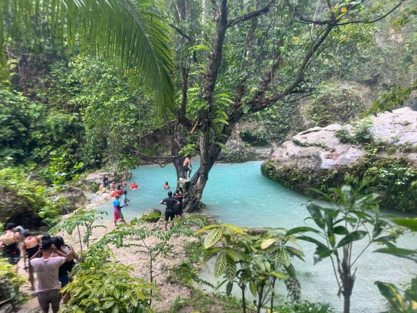 Cebu: Whale Shark, Inambakan Falls & Moalboal Sardine Tour - Oslob Whale Sharks: Safety Briefing, Guided Water Time, and Crowd Reality