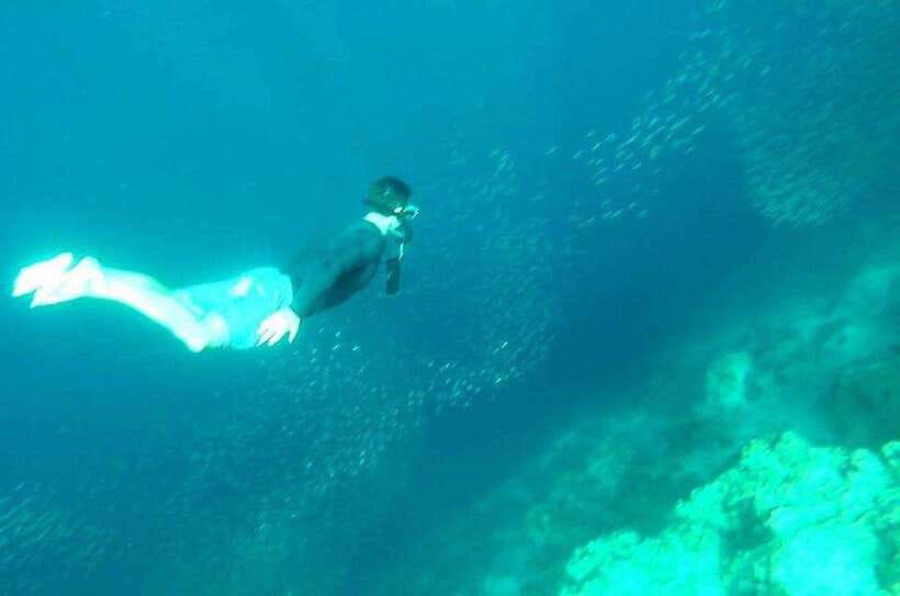 Cebu: Whale Shark, Inambakan Falls & Moalboal Sardine Tour - Where Kawasan Falls Fits: A Cool-Down You Should Confirm for Your Exact Route