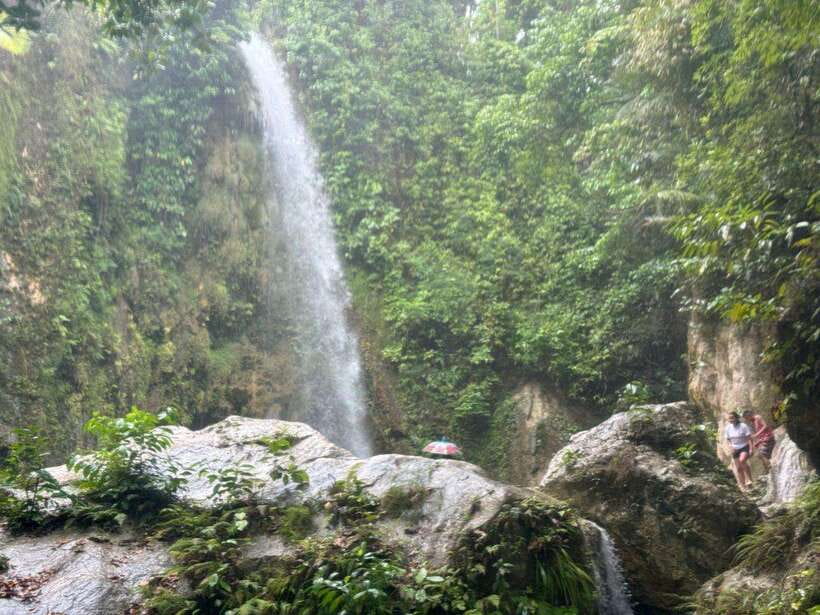 Cebu: Whale Shark, Inambakan Falls & Moalboal Sardine Tour - Breakfast Breaks and the Art of Not Getting Hangry
