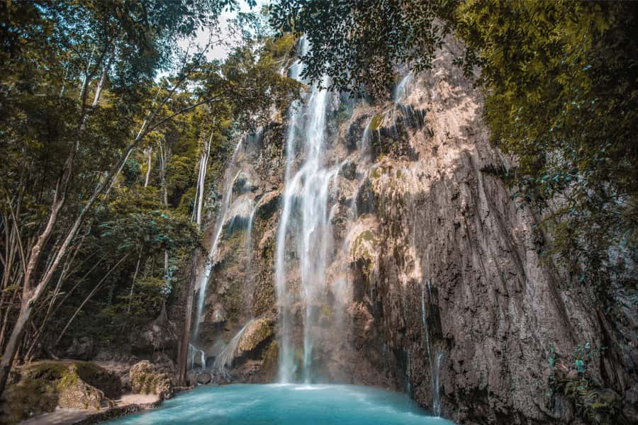 Cebu: Whale Shark, Monkey Sanctuary, & Moalboal Snorkel Tour - The Cebu route that packs whale sharks, monkeys, and Moalboal in one day