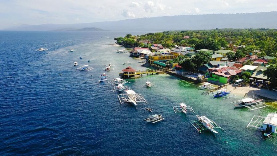 Cebu: Whale Shark, Monkey Sanctuary, & Moalboal Snorkel Tour - GoPro rental and underwater photo help: turning memories into footage
