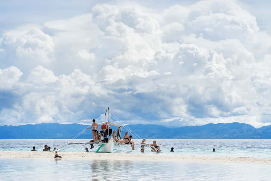 Cebu: Whale Shark, Monkey Sanctuary, & Moalboal Snorkel Tour - Transportation, timing, and group flow on a very long day