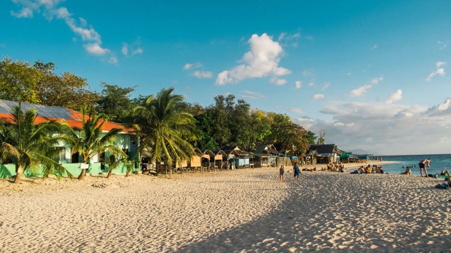 Cebu: Whale Shark, Monkey Sanctuary, & Moalboal Turtles Tour - Should you book this Cebu whale shark, monkey, and Moalboal turtle tour?