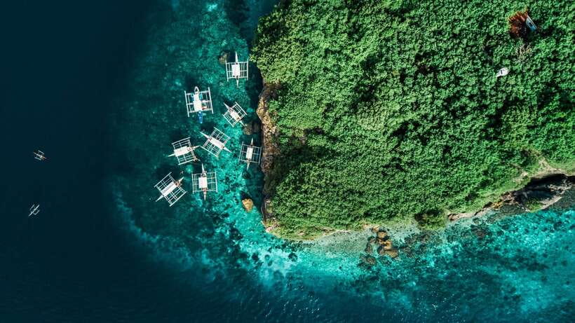 Cebu: Whale Shark, Monkey Sanctuary, & Moalboal Turtles Tour - Price and value: is $127 a good deal here?