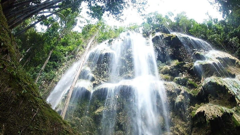 Cebu: Whale Shark, Monkey Sanctuary & Turtle Snorkeling Tour - Tumalog Falls and the wildlife-viewing break, when the schedule flexes