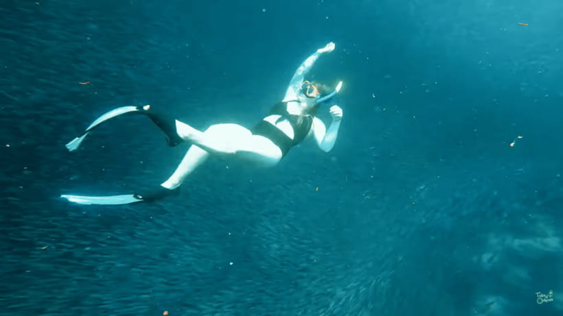 Cebu: Whale Shark Oslob and Moalboal Snorkeling Adventure - Meals, breaks, and beach time after hours in the water