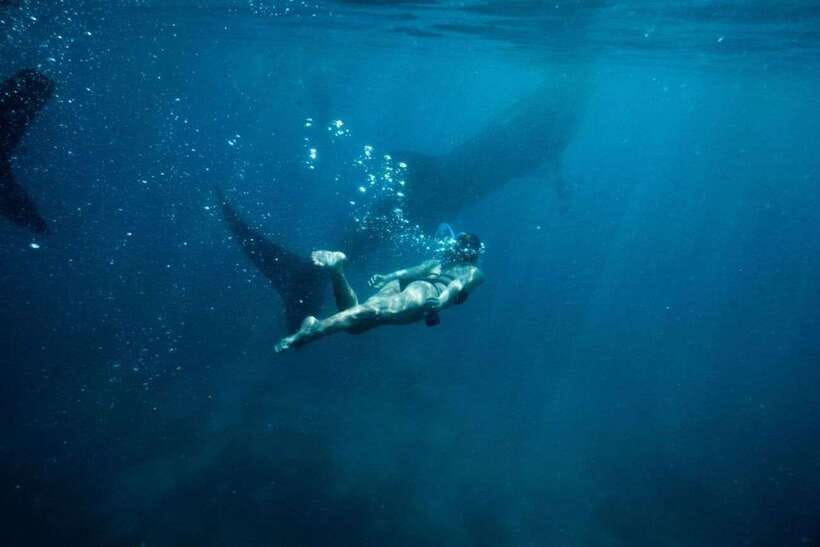 Cebu Whale Shark Swimming & Kawasan Canyoneering Group Tour - Boat lines, tickets, and how to reduce frustration