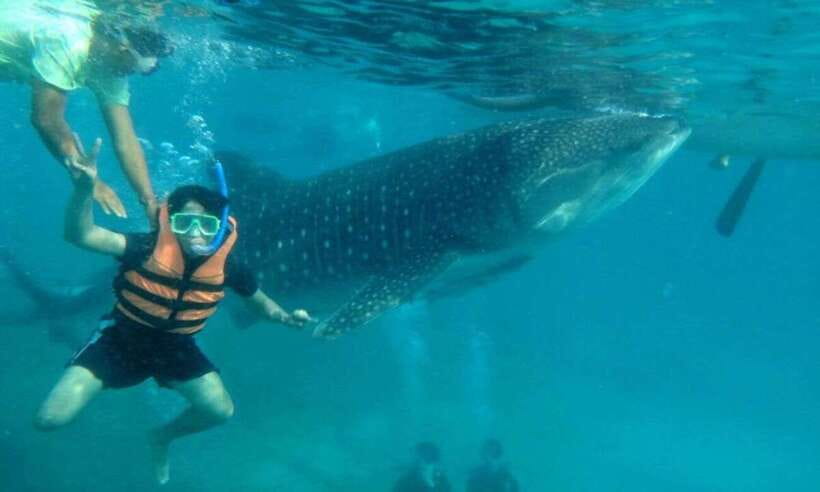 Cebu: Whale Shark Swimming, Sumilon Island and Kawasan Falls - Sumilon Island sandbar: tide, photos, and calm water time