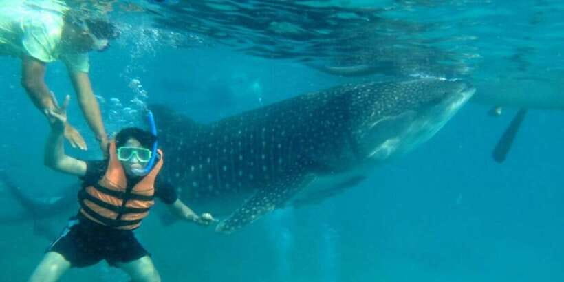 Cebu: Whale Shark Swimming, Sumilon Island and Kawasan Falls - Badian lunch stop: simple fuel before Kawasan Falls